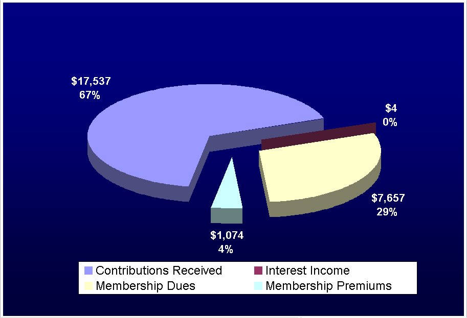 2009 revenues pie chart (unaudited)